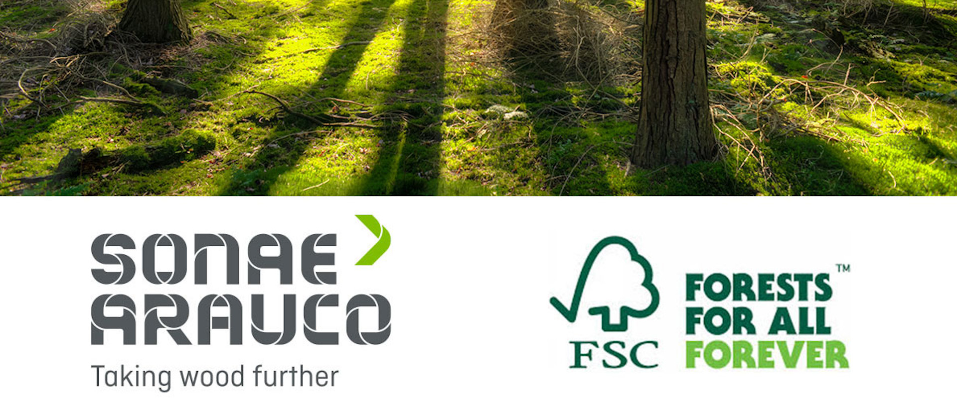Soane Arauco FSC Artcile Banner