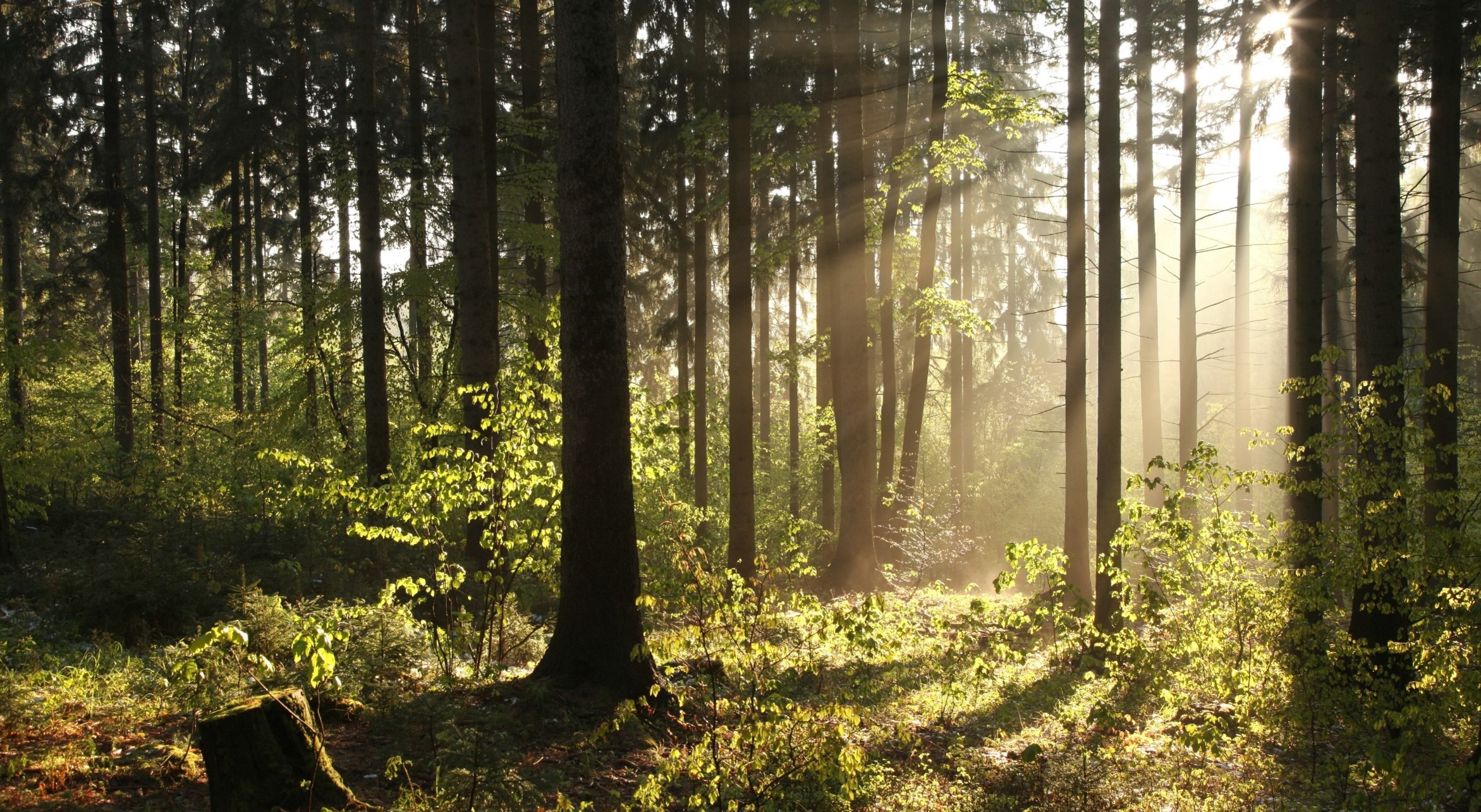 Protecting the ecosystem through sustainable manufacturing